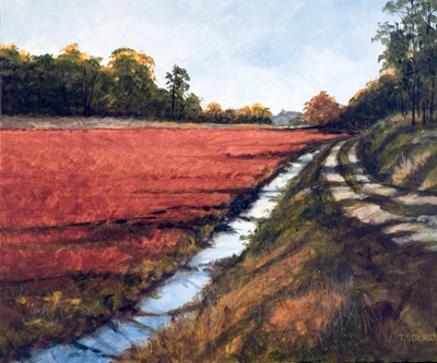 Struna Galleries of Cape Cod Paintings of New England and Cape Cod  - The Bog Road